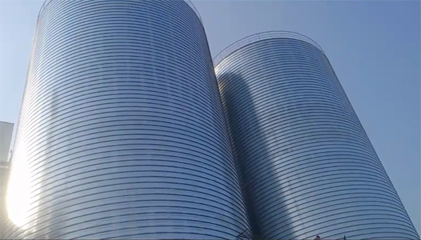 察雅2座混凝土高架卷板仓